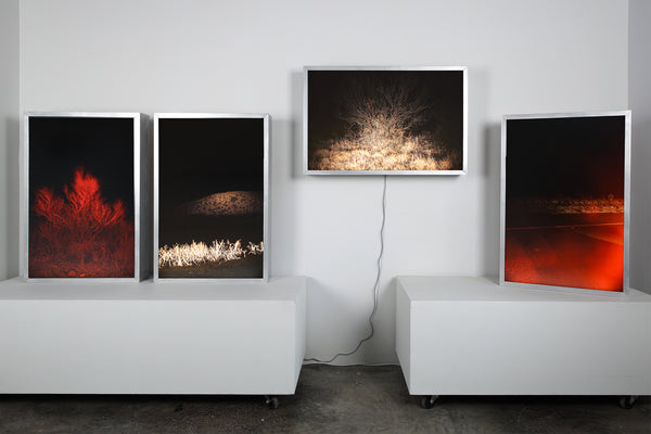 SIGNAL VOID, illuminated photography, 2025