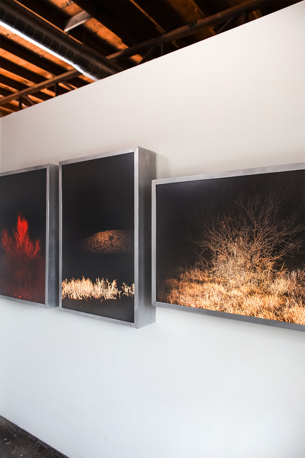 SIGNAL VOID, illuminated photography, 2025