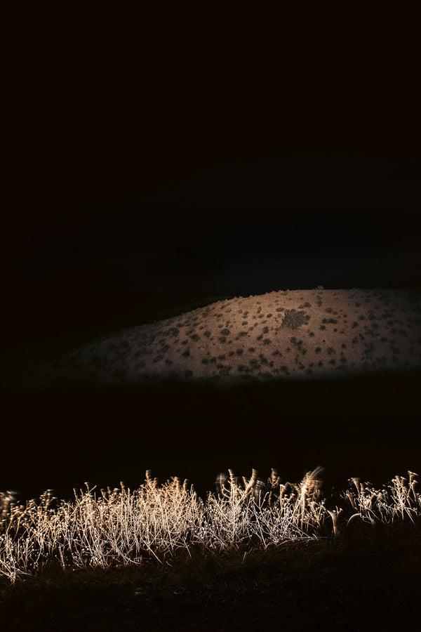 SIGNAL VOID, illuminated photography, 2025