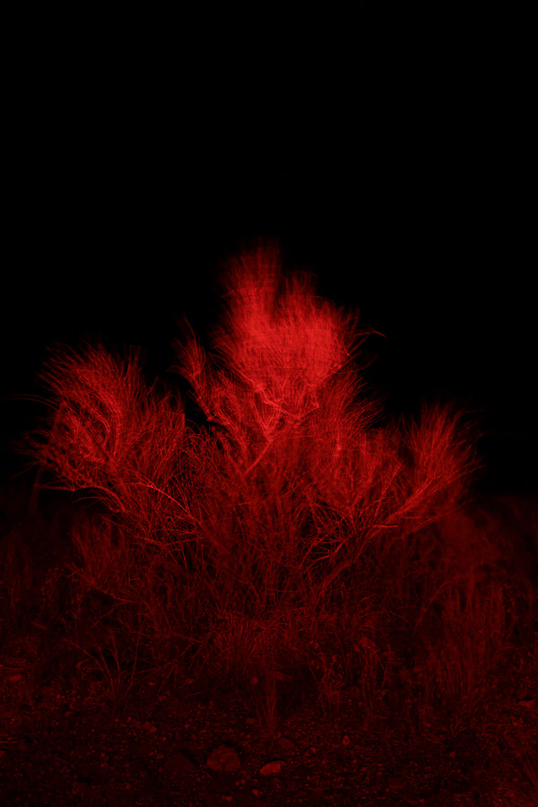 SIGNAL VOID, illuminated photography, 2025