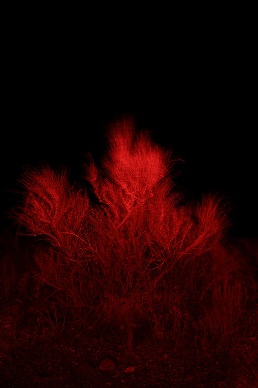 SIGNAL VOID, illuminated photography, 2025