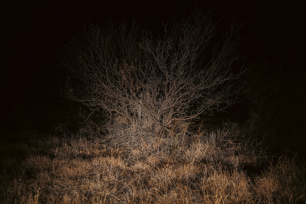 SIGNAL VOID, illuminated photography, 2025