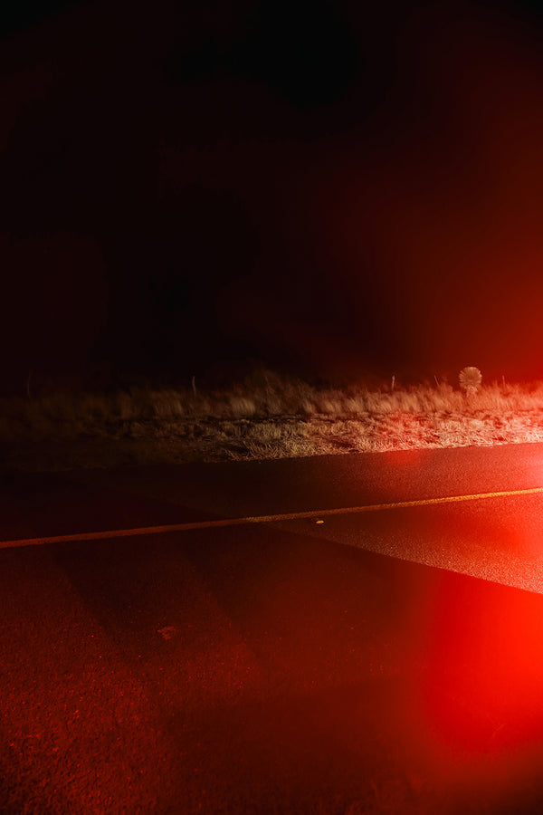 SIGNAL VOID, illuminated photography, 2025